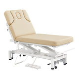 VitalEarth Spa Wellness Therapy Bed DIR