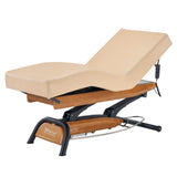 Master Massage Atlas Deluxe Electric Lift Spa Salon Stationary Bed