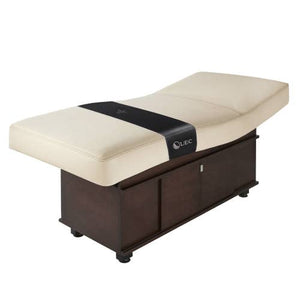 Living Earth Crafts INSIGNIA 2.0 CLASSIC™ Multi-Purpose Treatment Table w/Replaceable Mattress