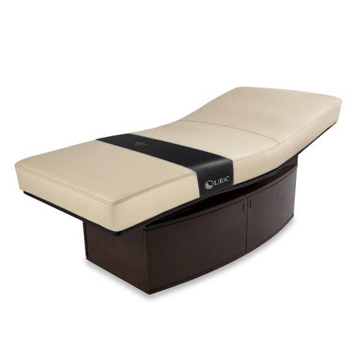 Living Earth Crafts INSIGNIA 2.0 HORIZON Multi-Purpose Treatment Table w/Replaceable Mattress