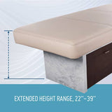 Living Earth Crafts INSIGNIA 2.0 WATERFALL Multi-Purpose Treatment Table w/Replaceable Mattress