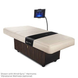 Living Earth Crafts INSIGNIA 2.0 WAVERLY Multi-Purpose Treatment Table w/Replaceable Mattress