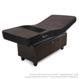 Living Earth Crafts INSIGNIA 2.0 WAVERLY Multi-Purpose Treatment Table w/Replaceable Mattress