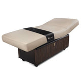 Living Earth Crafts INSIGNIA 2.0 WAVERLY Multi-Purpose Treatment Table w/Replaceable Mattress